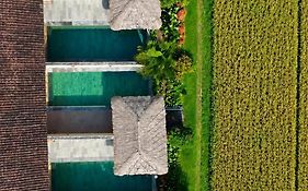 Alam Puisi Villa